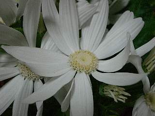 b0061107_19291441.jpg