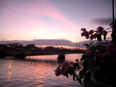 a0036412_125952.jpg