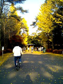 c0040529_056505.jpg