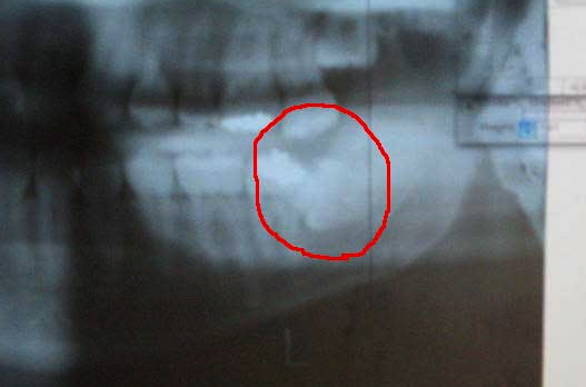 c0002547_0194839.jpg