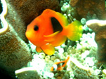 c0037447_20572727.jpg