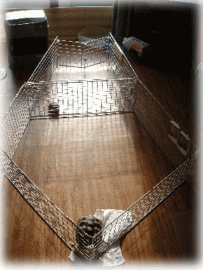 b0055276_23595213.gif