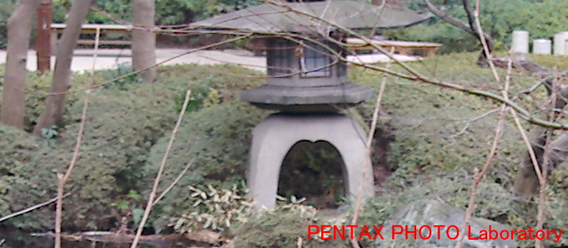 c0025498_20473139.jpg