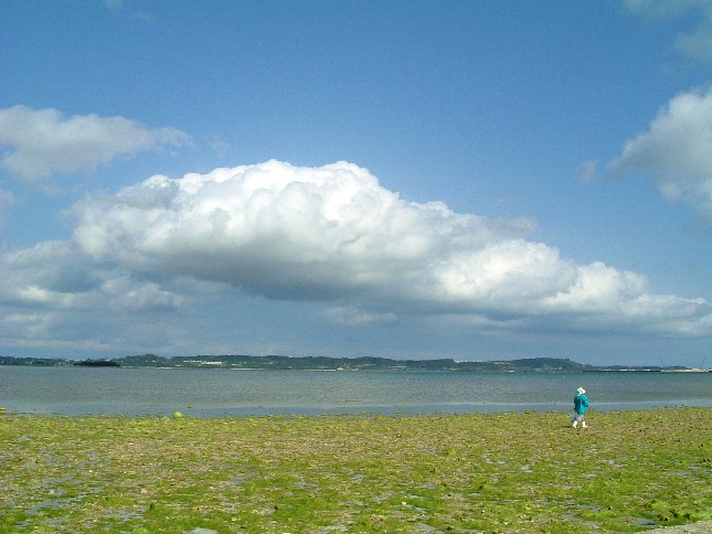 b0026610_17575483.jpg