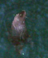 b0038810_1121143.jpg