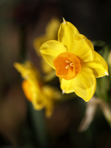 a0003746_15544851.jpg