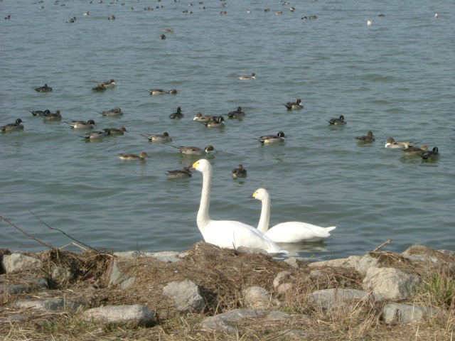 b0055171_2217362.jpg