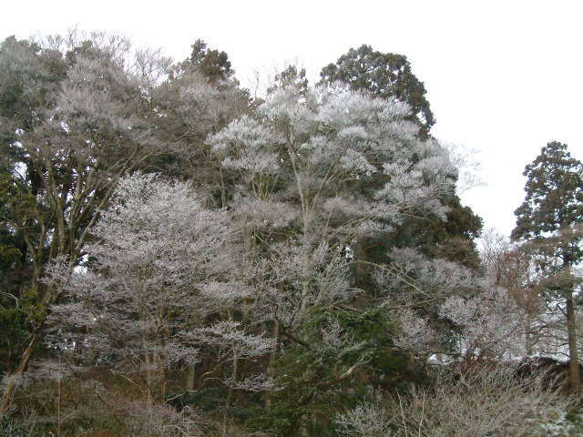 b0044296_22525996.jpg