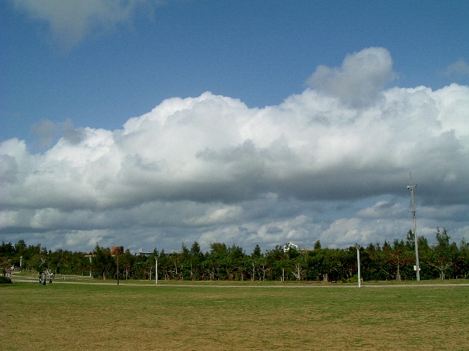 b0026610_12155234.jpg