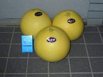 a0024015_22315216.jpg
