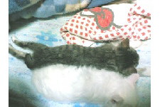 c0011446_2337568.jpg