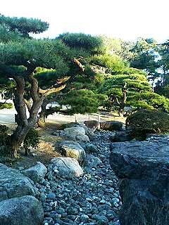 a0024350_21192382.jpg