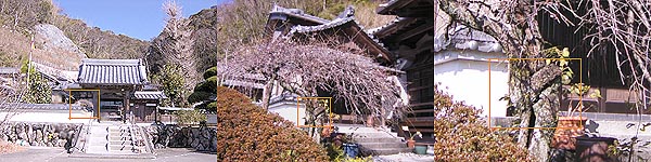 c0027965_23501768.jpg