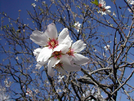 c0009070_6351852.jpg