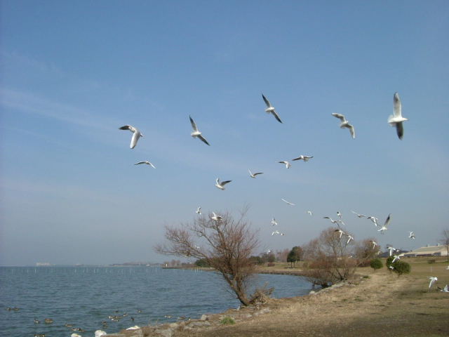 b0055171_2256101.jpg