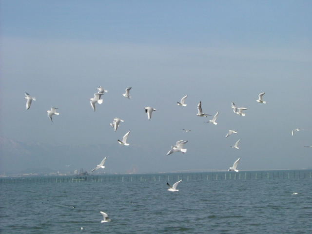 b0055171_22572139.jpg