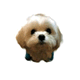b0060071_1965586.gif