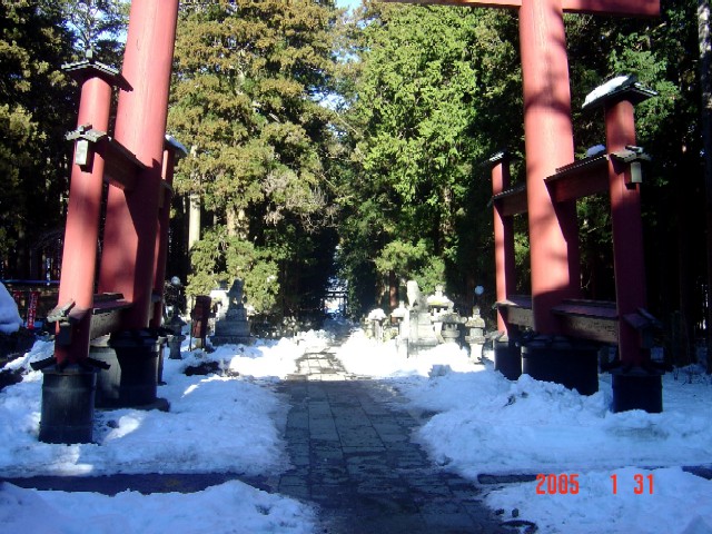 a0005691_1618820.jpg