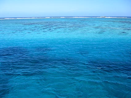 c0004193_13334025.jpg