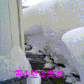c0032408_18165349.jpg