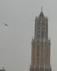 a0015110_1523423.jpg