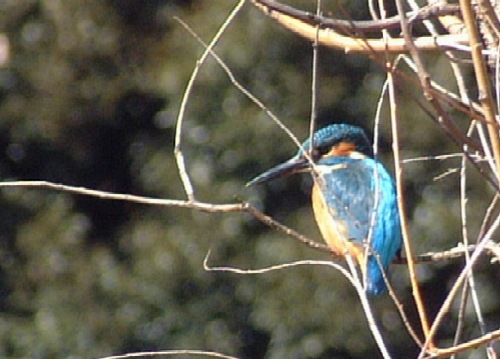 c0047115_18281880.jpg