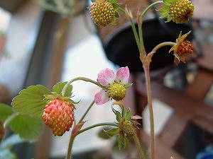 a0034419_1882255.jpg