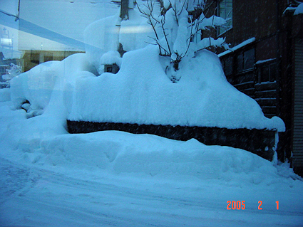c0000134_17225858.jpg