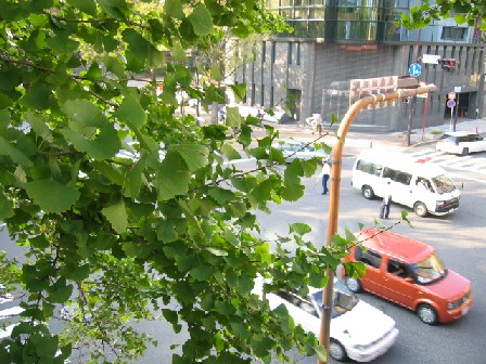c0003036_14522378.jpg