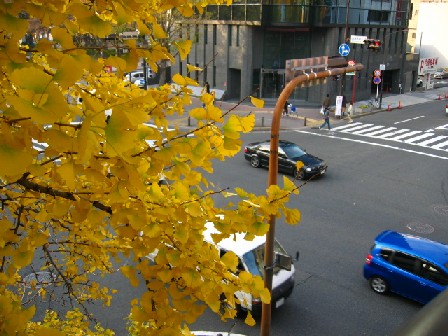 c0003036_14524453.jpg