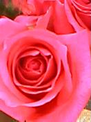 a0025948_1215198.jpg