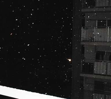a0019854_3381517.jpg