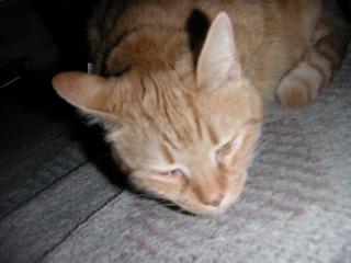 a0018200_184345.jpg