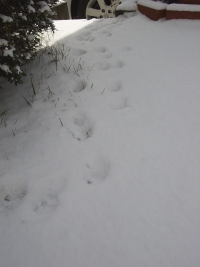 b0057517_17545647.jpg
