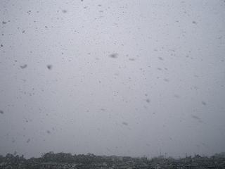 c0005619_20424123.jpg