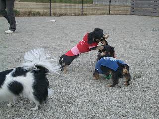 c0006959_055177.jpg