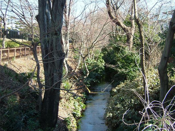 b0064679_21355280.jpg