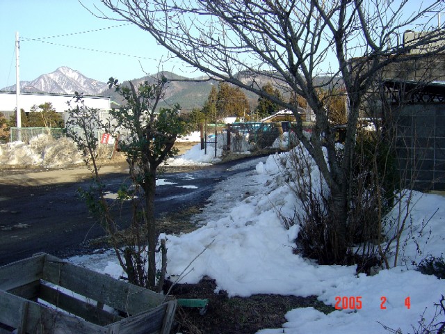 a0005691_1542113.jpg