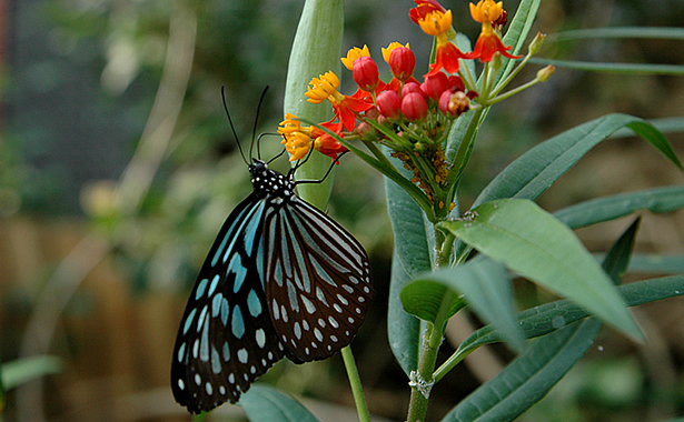 b0063234_32985.jpg