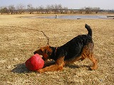 a0035678_11313946.jpg