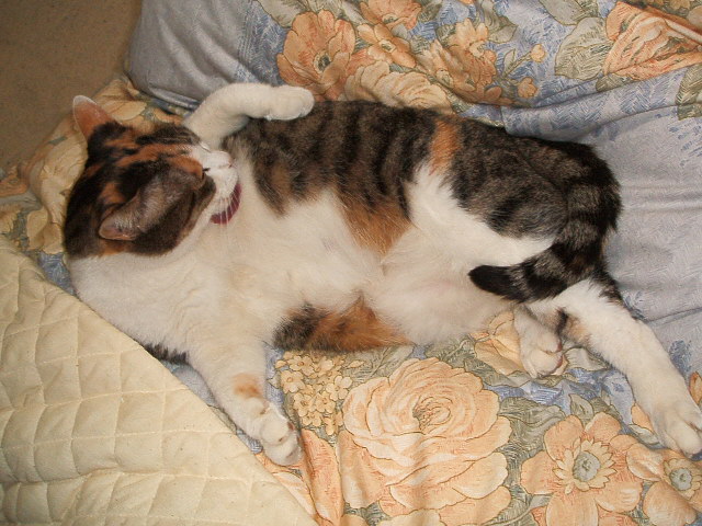 c0041497_013125.jpg