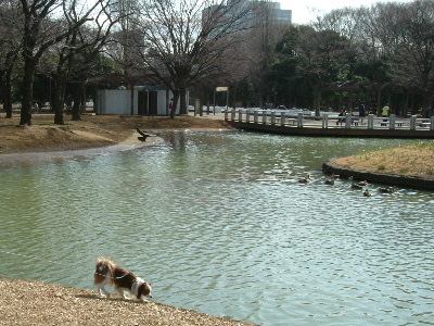 c0044199_2157251.jpg