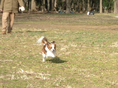 c0044199_22111441.jpg