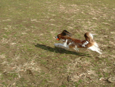 c0044199_22165163.jpg
