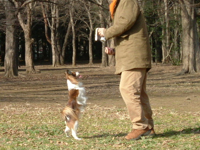 c0044199_22192032.jpg