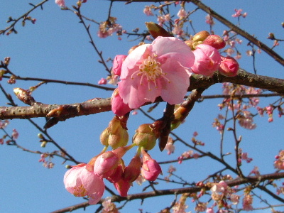 c0044199_22223199.jpg