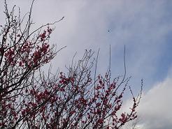 b0055301_2355338.jpg