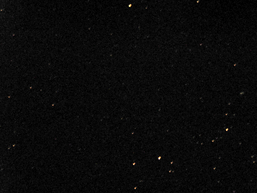 c0014035_8183456.jpg