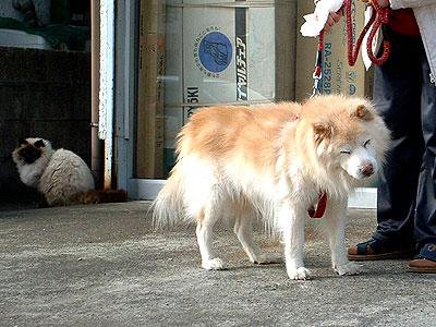 c0025167_214244.jpg