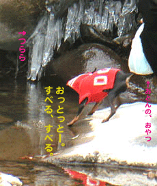 c0012571_2330080.gif